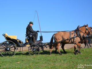 hubert_03