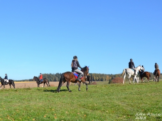 hubert_05