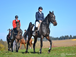 hubert_06