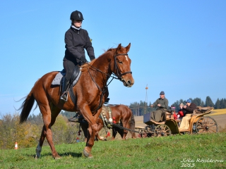 hubert_07