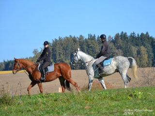 hubert_10