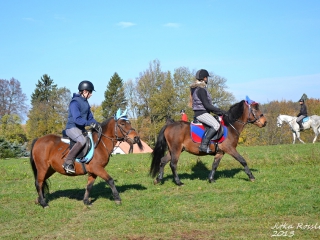 hubert_12