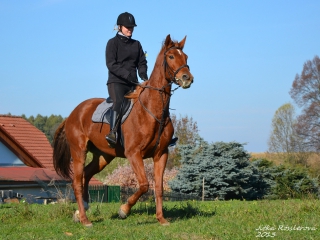 hubert_13