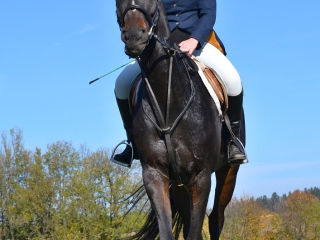 hubert_15