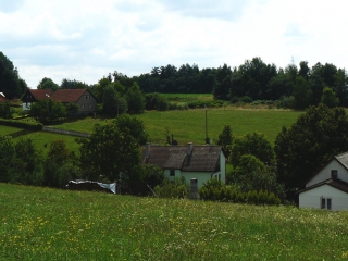 vlckov 008