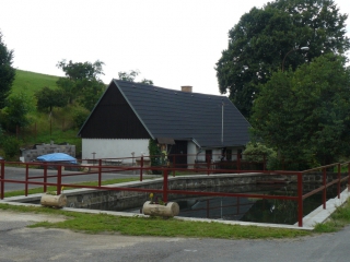 vlckov 014